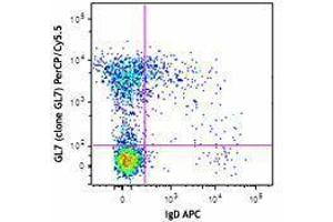 anti-T and B cell Activation Marker antibody (PerCP-Cy5.5)