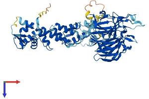 AlphaFold protein structure predicition of Human Recombinant IPP Protein, UniprotID Q9Y573