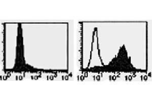 Flow Cytometry (FACS) image for anti-Tumor Necrosis Factor (Ligand) Superfamily, Member 13b (TNFSF13B) antibody (ABIN1449224) (BAFF anticorps)