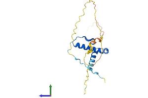 AlphaFold protein structure predicition of Human Recombinant SSX1 Protein, UniprotID Q16384