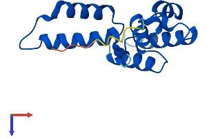 AlphaFold protein structure predicition of Human Recombinant POLR2D Protein, UniprotID O15514