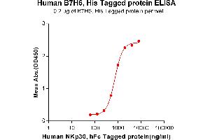 ELISA plate pre-coated by 2 μg/mL (100 μL/well) Human B7-H6, His tagged protein (ABIN6964097, ABIN7042449 and ABIN7042450) can bind Human NKp30, hFc tagged protein ABIN6961135, ABIN7042299 and ABIN7042300 in a linear range of 250-2000 ng/mL.