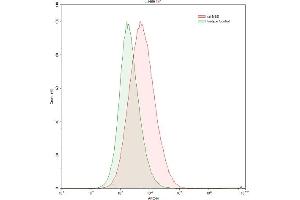Detection of NSE in HepG2 human hepatocellular carcinoma cell line using Polyclonal Antibody to Enolase, Neuron Specific (NSE)