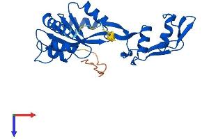 AlphaFold protein structure predicition of Mouse Recombinant Mrto4 Protein, UniprotID Q9D0I8