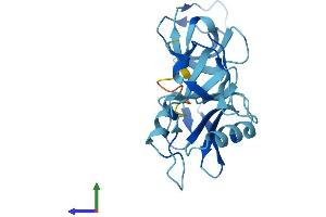 AlphaFold protein structure predicition of Human Recombinant GRAP Protein, UniprotID Q13588