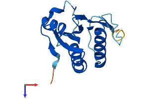 AlphaFold protein structure predicition of Mouse Recombinant Txnl4a Protein, UniprotID P83877