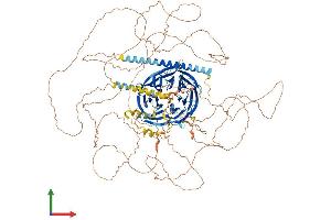 AlphaFold protein structure predicition of Human Recombinant PALB2 Protein, UniprotID Q86YC2