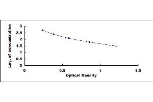 Fibroblast Growth Factor 13 (FGF13) ELISA Kit