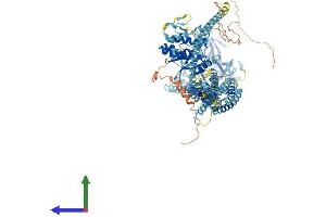 AlphaFold protein structure predicition of Human Recombinant STK31 Protein, UniprotID Q9BXU1