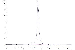 The purity of Biotinylated CD79B is greater than 95 % as determined by SEC-HPLC.
