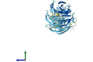 AlphaFold protein structure predicition of Mouse Recombinant Smu1 Protein, UniprotID Q3UKJ7