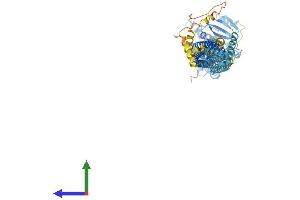 AlphaFold protein structure predicition of Human Recombinant MFN1 Protein, UniprotID Q8IWA4