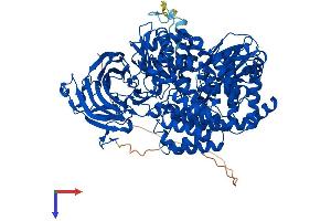 AlphaFold protein structure predicition of Human Recombinant ERAP2 Protein, UniprotID Q6P179