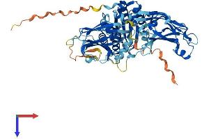 AlphaFold protein structure predicition of Mouse Recombinant Cpne5 Protein, UniprotID Q8JZW4