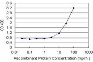 IFITM3 (Human) Matched Antibody Pair
