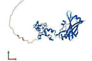 AlphaFold protein structure predicition of Mouse Recombinant Siah1a Protein, UniprotID P61092
