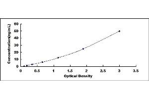 Typical standard curve (Caldesmon Kit ELISA)