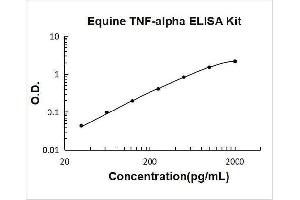 Typical Standard Curve
