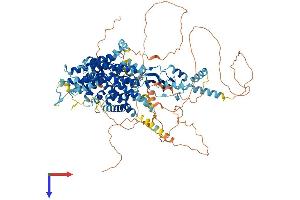 AlphaFold protein structure predicition of Human Recombinant CLCN1 Protein, UniprotID P35523