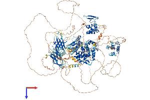 AlphaFold protein structure predicition of Mouse Recombinant Hecw1 Protein, UniprotID Q8K4P8