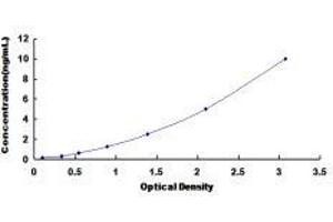 Spectrin Beta, Non-Erythrocytic 4 (SPTBN4) ELISA Kit