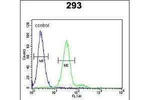 KIT Antibody  g flow cytometric analysis of 293 cells (right histogram) compared to a negative control cell (left histogram). (KIT anticorps  (AA 680-711))