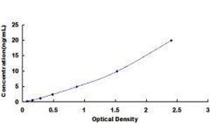 ELISA image for Platelet Factor 4 (PF4) ELISA Kit (ABIN416291)