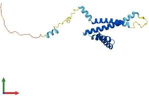 AlphaFold protein structure predicition of Human Recombinant TIMM22 Protein, UniprotID Q9Y584