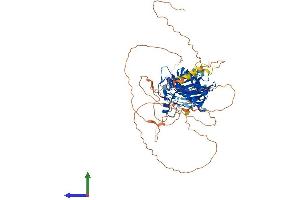 AlphaFold protein structure predicition of Human Recombinant NUAK2 Protein, UniprotID Q9H093