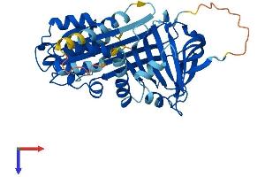 AlphaFold protein structure predicition of Mouse Recombinant Serpinb13 Protein, UniprotID Q8CDC0