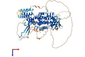 AlphaFold protein structure predicition of Human Recombinant RGL2 Protein, UniprotID O15211