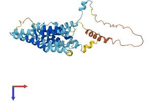 AlphaFold protein structure predicition of Mouse Recombinant Tmem236 Protein, UniprotID A2ARJ3