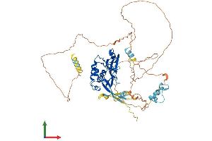 AlphaFold protein structure predicition of Mouse Recombinant Socs5 Protein, UniprotID O54928