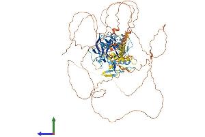 AlphaFold protein structure predicition of Human Recombinant PRDM1 Protein, UniprotID O75626