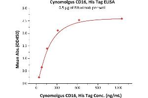 Immobilized Rituximab at 5 μg/mL (100 μL/well) can bind Cynomolgus CD16, His Tag (BLI verified) (ABIN5674616,ABIN6253653,ABIN6951017) with a linear range of 39-313 ng/mL (QC tested).