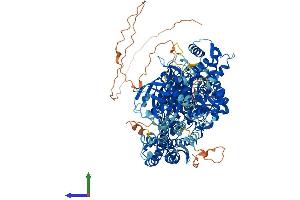 AlphaFold protein structure predicition of Human Recombinant PLCL1 Protein, UniprotID Q15111