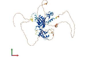 AlphaFold protein structure predicition of Mouse Recombinant Cpeb1 Protein, UniprotID P70166