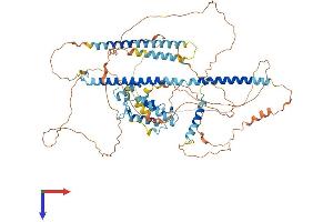 AlphaFold protein structure predicition of Mouse Recombinant Pbxip1 Protein, UniprotID Q3TVI8