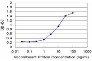 Detection limit for recombinant GST tagged TP53RK is approximately 1ng/ml as a capture antibody. (TP53RK anticorps  (AA 154-253))