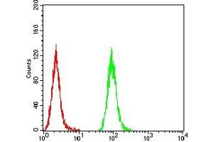 Flow cytometric analysis of Hela cells using PMS2 mouse mAb (green) and negative control (red).