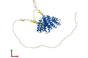 AlphaFold protein structure predicition of Human Recombinant RRP1 Protein, UniprotID P56182