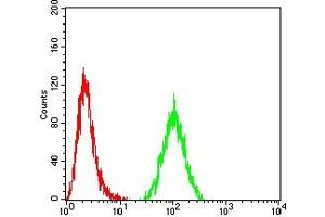 Flow cytometric analysis of Hela cells using ACSS1 mouse mAb (green) and negative control (red).