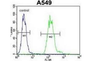 Flow cytometric analysis of A549 cells using TTRAP Antibody (C-term) Cat.