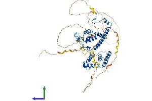 AlphaFold protein structure predicition of Mouse Recombinant Rcor2 Protein, UniprotID Q8C796