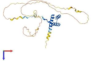 AlphaFold protein structure predicition of Human Recombinant HOXA5 Protein, UniprotID P20719