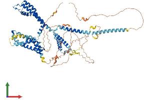 AlphaFold protein structure predicition of Human Recombinant KCNQ1 Protein, UniprotID P51787