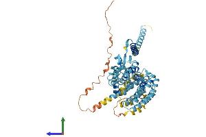 AlphaFold protein structure predicition of Mouse Recombinant Psmd3 Protein, UniprotID P14685