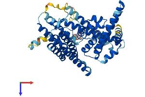 AlphaFold protein structure predicition of Human Recombinant MBOAT4 Protein, UniprotID Q96T53