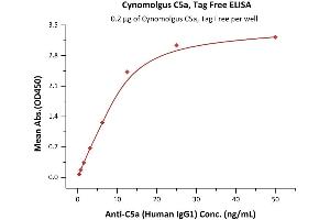 Immobilized Cynomolgus C5a, Tag Free (ABIN6731340,ABIN6809880) at 2 μg/mL (100 μL/well) can bind Anti-C5a (Human IgG1) with a linear range of 0. (C5A Protein (AA 678-751))