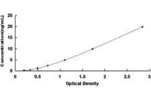 Typical standard curve (DSTYK Kit ELISA)